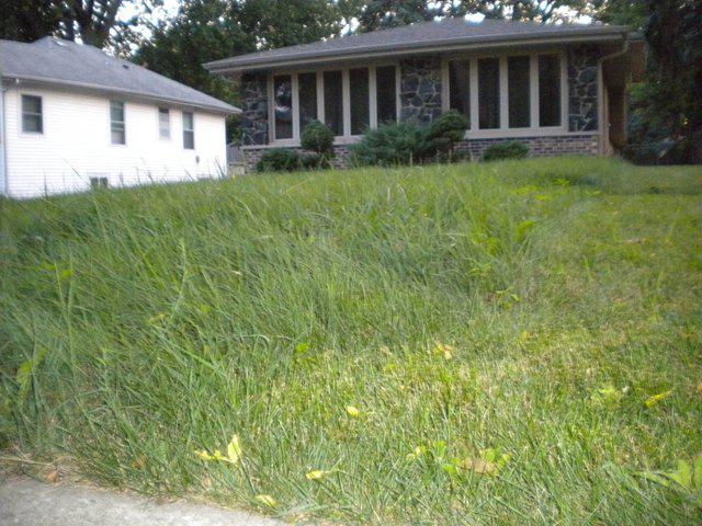 118 N Berteau Ave., Bartlett, IL 60103