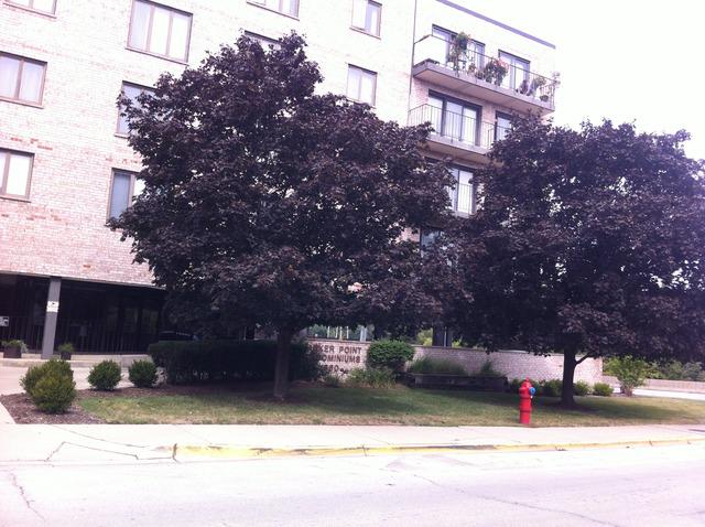 1660 Thacker St. #2C, Des Plaines, IL 60016