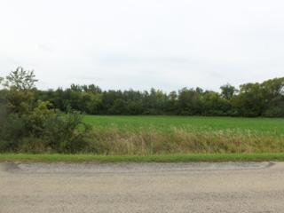 3460 South Paw Paw Rd., Paw Paw, IL 61353