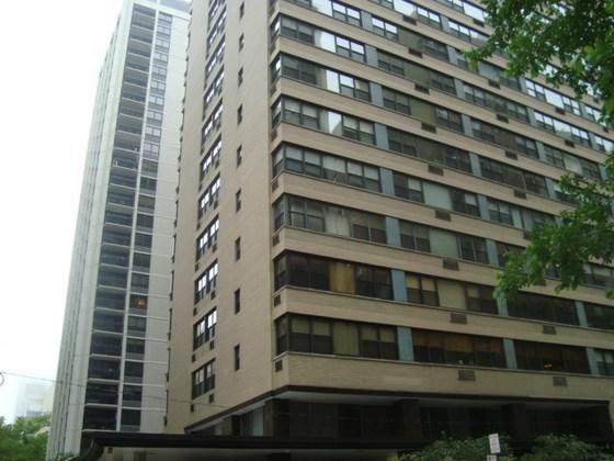 850 N Dewitt Pl. #3F, Chicago, IL 60611