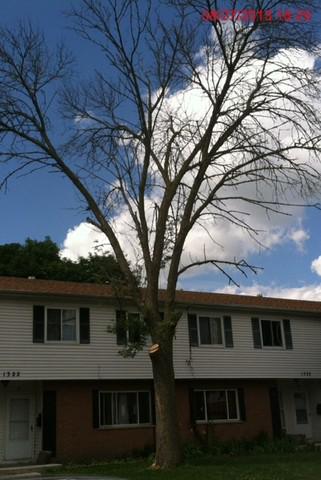 1322 Monomoy St. #A, Aurora, IL 60506