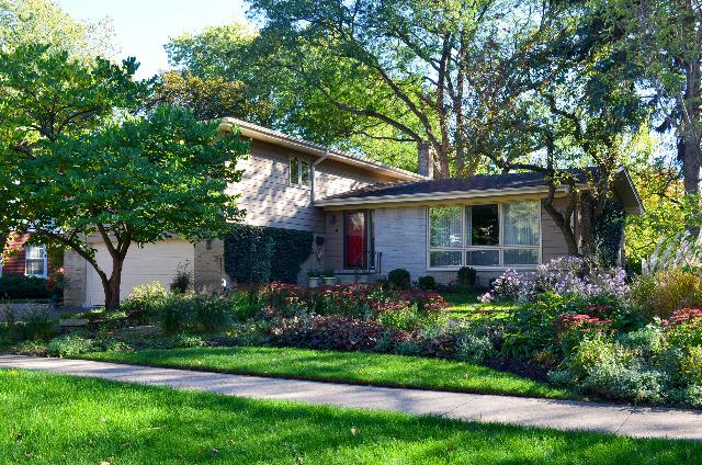 1305 E Campbell St., Arlington Heights, IL 60004