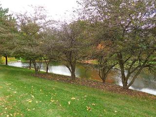 646 Wilbur Ct., Gurnee, IL 60031