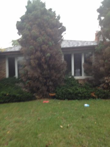 277 Cornell Ave., Calumet City, IL 60409