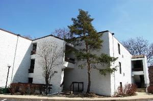 362 W Miner St. #1C, Arlington Heights, IL 60005