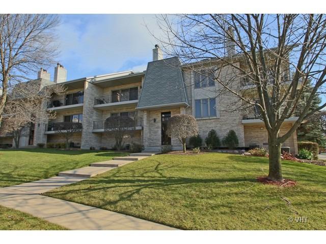 9046 Del Prado Dr. #2N, Palos Hills, IL 60465