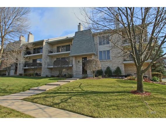 9046 Del Prado Dr. #2N, Palos Hills, IL 60465