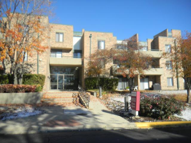1931 Prairie Sq. #131, Schaumburg, IL 60173