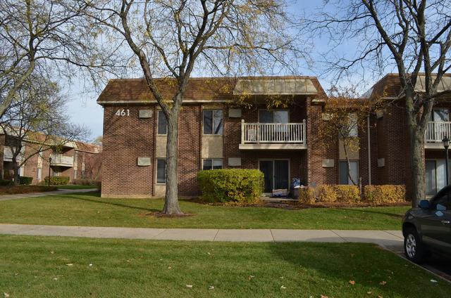 461 N Jonathan Ct. #203, Palatine, IL 60074