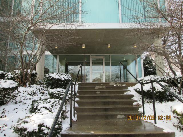 3120 S Indiana Ave. #304, Chicago, IL 60616