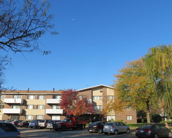 1000 Bayside Dr. #304, Palatine, IL 60074