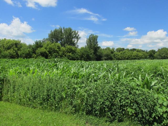 000 W Cottage Hill Rd., Paw Paw, IL 61353