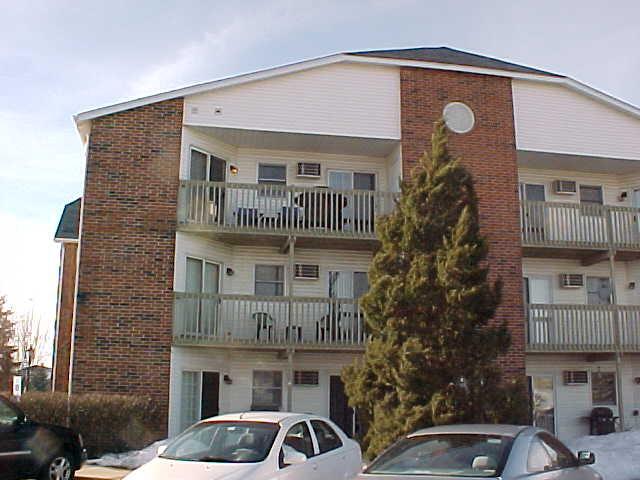 1375 Cunat Ct. #3B, Lake In The Hills, IL 60156