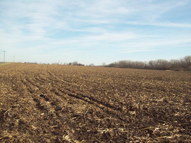 875 2000 North Ave., Manlius, IL 61338