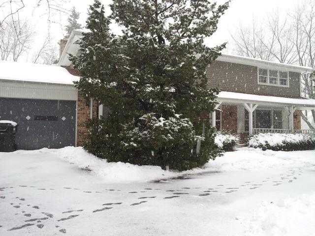 140 S Ela Rd., Barrington, IL 60010