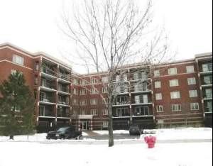 6400 W Berteau St. #309, Chicago, IL 60634