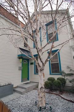 1646 W Ontario St., Chicago, IL 60622
