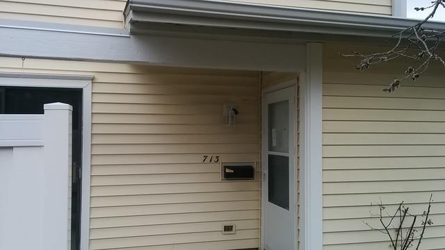713 Sunfish Point, Schaumburg, IL 60194
