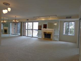 205 Rivershire Ln. #312, Lincolnshire, IL 60069