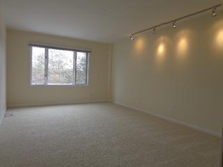 205 Rivershire Ln. #312, Lincolnshire, IL 60069