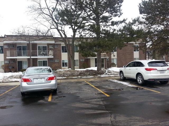 1133 Miller Ln. #207, Buffalo Grove, IL 60089