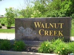 20642 Orchard Ct., Frankfort, IL 60423