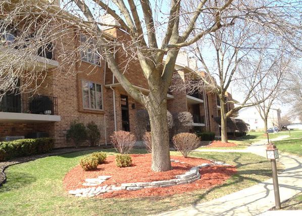 9166 Del Prado Dr. #1S, Palos Hills, IL 60465