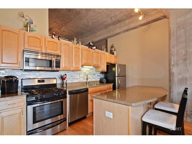 360 W Illinois St. #4G, Chicago, IL 60654