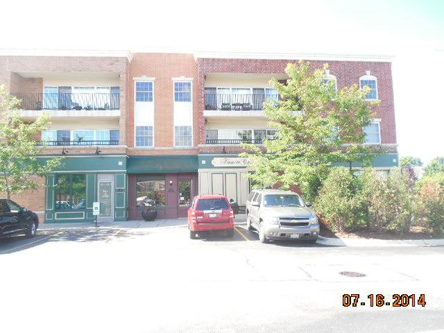 49 Old Frankfort Way #210, Frankfort, IL 60423