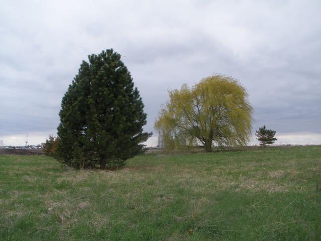 655 N 43rd Rd., Mendota, IL 61342