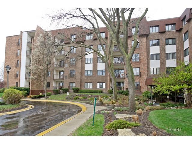 448 Raintree Ct. #1P, Glen Ellyn, IL 60137