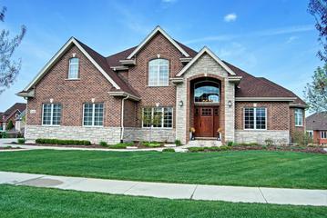 12448 Province Dr., Lemont, IL 60439