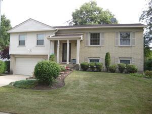 183 University Dr., Buffalo Grove, IL 60089