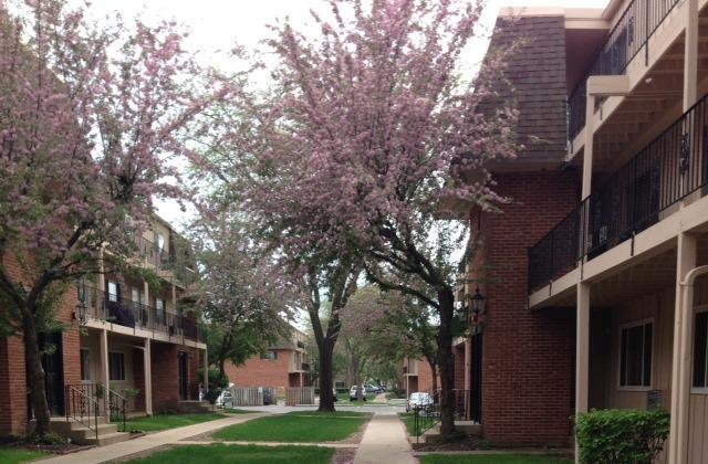 2508 Algonquin Rd. #7, Rolling Meadows, IL 60008