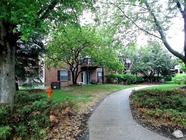 1525 Raymond Dr. #103, Naperville, IL 60563