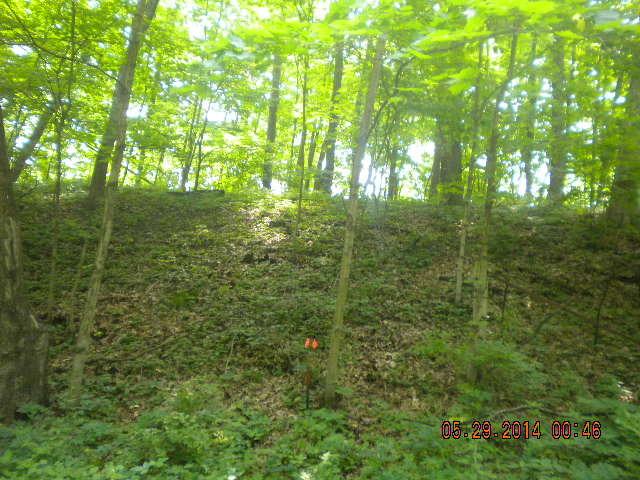 2250 E St., Tiskilwa, IL 61368