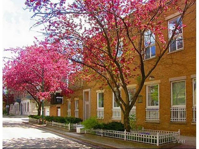 919 W Wisconsin St., Chicago, IL 60614