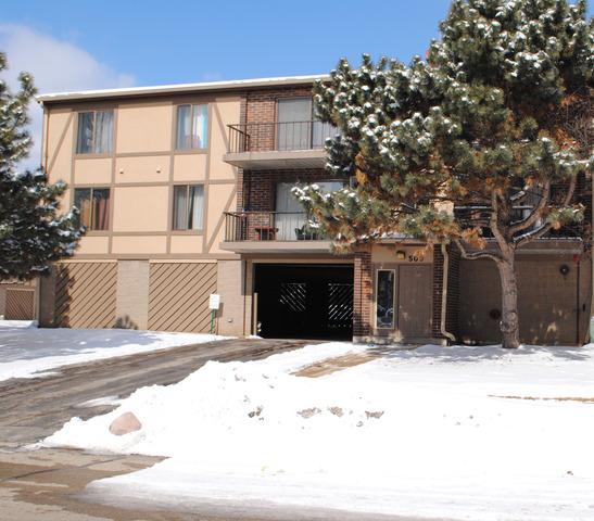 509 Kiowa Cir. #101, Naperville, IL 60565