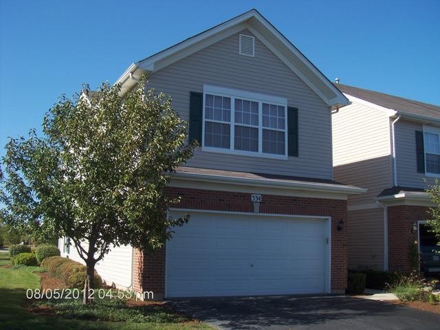 334 Grape Vine Tr., Oswego, IL 60543