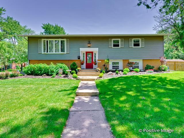 6731 Fairmount Ave., Downers Grove, IL 60516