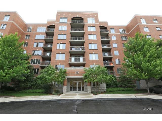 390 S Western Ave. #604, Des Plaines, IL 60016