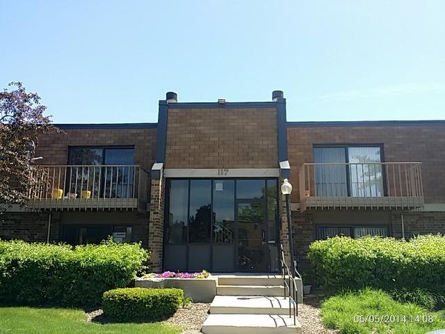 117 Mullingar Ct. #1A, Schaumburg, IL 60193