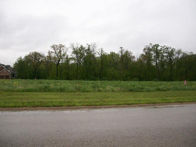 Lot 159 Ironwood Ct., Yorkville, IL 60560