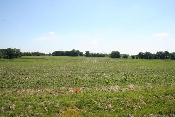 14050 Townhouse Rd., Newark, IL 60541
