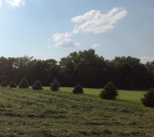 2137 E 879th Rd., Tonica, IL 61370