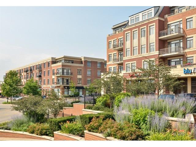 170 N Northwest Hwy. #217, Park Ridge, IL 60068