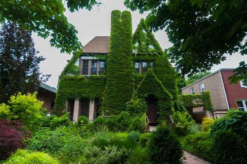 2442 W Morse Ave., Chicago, IL 60645