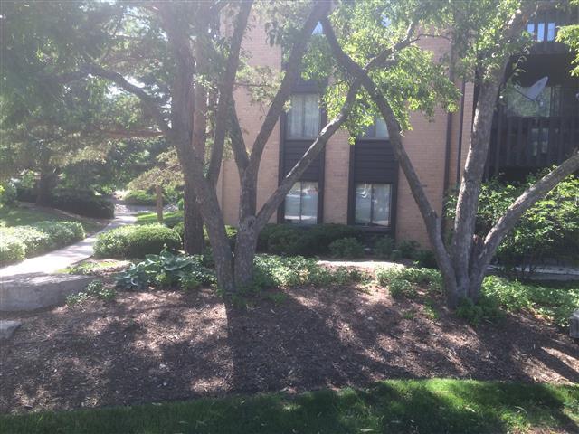 6104 Knoll Valley Dr. #104, Willowbrook, IL 60527
