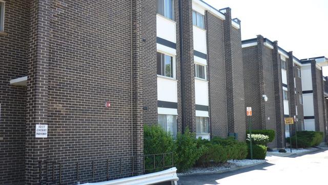 10117 Cherry Pkwy. #202, Skokie, IL 60076