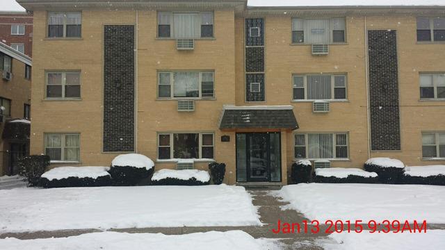 386 Alles St. #301, Des Plaines, IL 60016